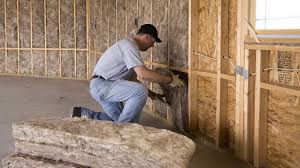 Best Insulation for Existing Homes  in Hilton, NY