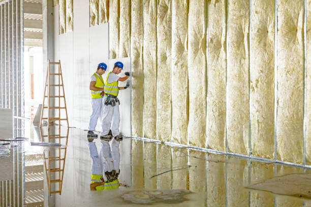 Best Insulation for New Construction  in Hilton, NY